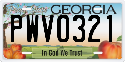GA license plate PWV0321