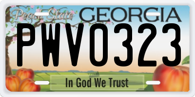 GA license plate PWV0323