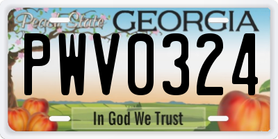 GA license plate PWV0324
