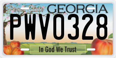 GA license plate PWV0328