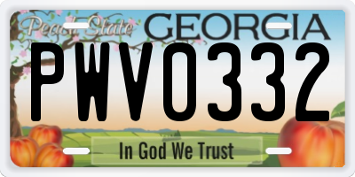 GA license plate PWV0332