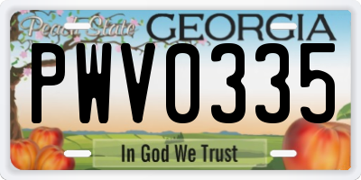 GA license plate PWV0335