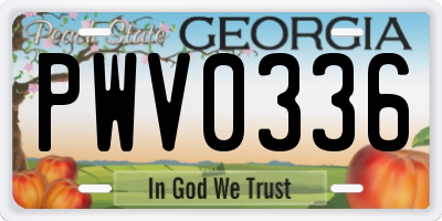 GA license plate PWV0336