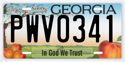 GA license plate PWV0341