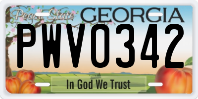 GA license plate PWV0342