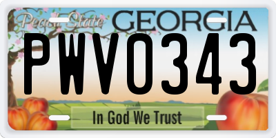 GA license plate PWV0343