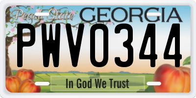 GA license plate PWV0344