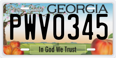 GA license plate PWV0345