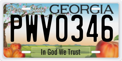 GA license plate PWV0346