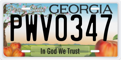 GA license plate PWV0347