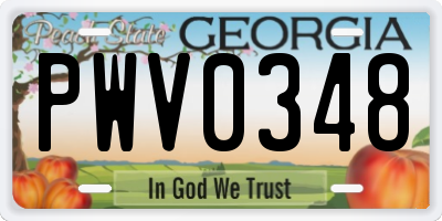 GA license plate PWV0348