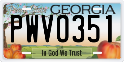 GA license plate PWV0351