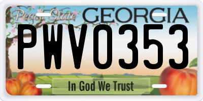 GA license plate PWV0353
