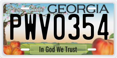 GA license plate PWV0354