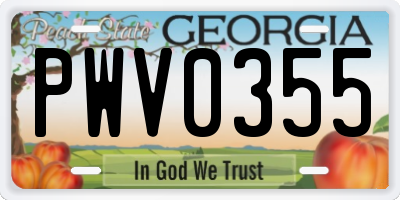 GA license plate PWV0355