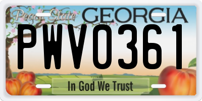 GA license plate PWV0361
