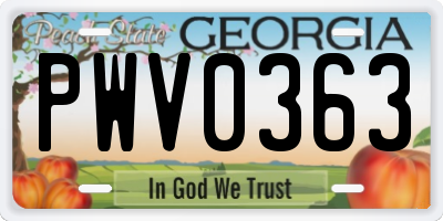 GA license plate PWV0363