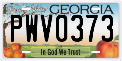 GA license plate PWV0373