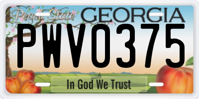 GA license plate PWV0375