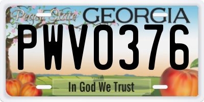 GA license plate PWV0376