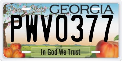 GA license plate PWV0377