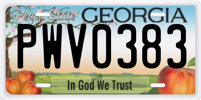 GA license plate PWV0383
