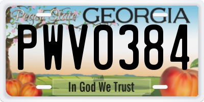 GA license plate PWV0384