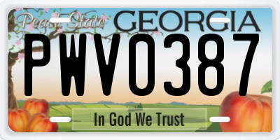 GA license plate PWV0387