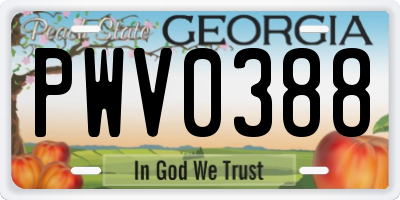 GA license plate PWV0388