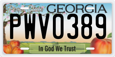 GA license plate PWV0389