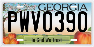 GA license plate PWV0390