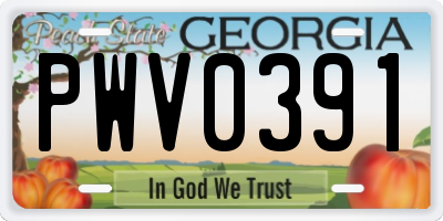 GA license plate PWV0391