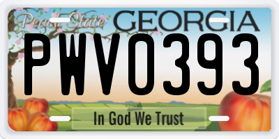 GA license plate PWV0393
