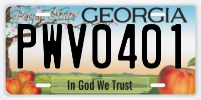 GA license plate PWV0401