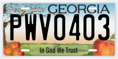 GA license plate PWV0403