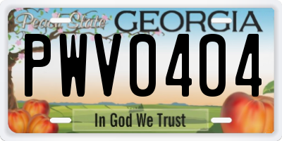 GA license plate PWV0404