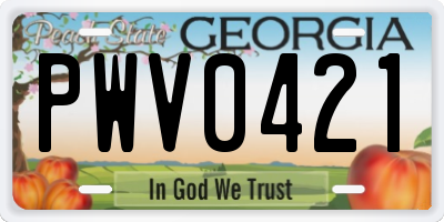 GA license plate PWV0421