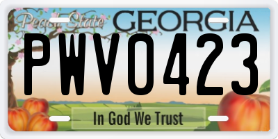 GA license plate PWV0423