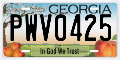 GA license plate PWV0425