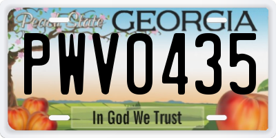 GA license plate PWV0435