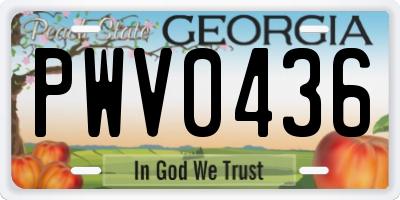 GA license plate PWV0436