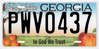 GA license plate PWV0437