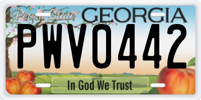 GA license plate PWV0442