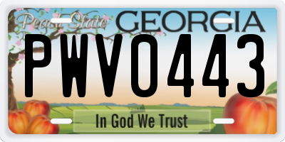 GA license plate PWV0443