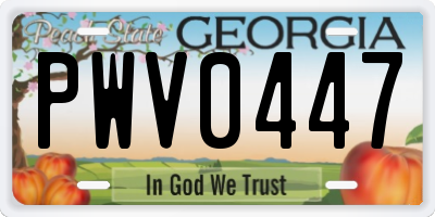 GA license plate PWV0447