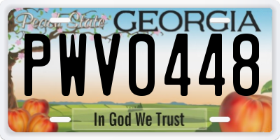 GA license plate PWV0448