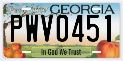 GA license plate PWV0451