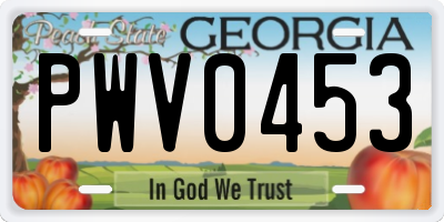 GA license plate PWV0453