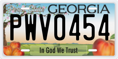 GA license plate PWV0454