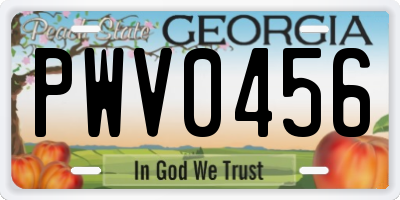 GA license plate PWV0456